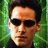 the matrix